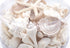 pearl champagne seashell pack